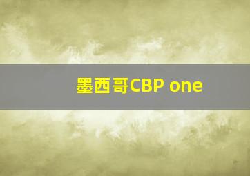 墨西哥CBP one